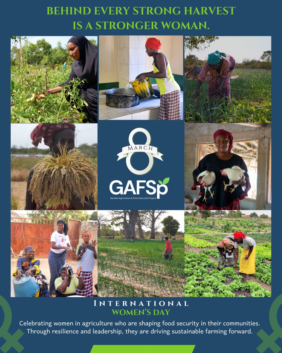 Gambia Agriculture & Food Security Project tweet media