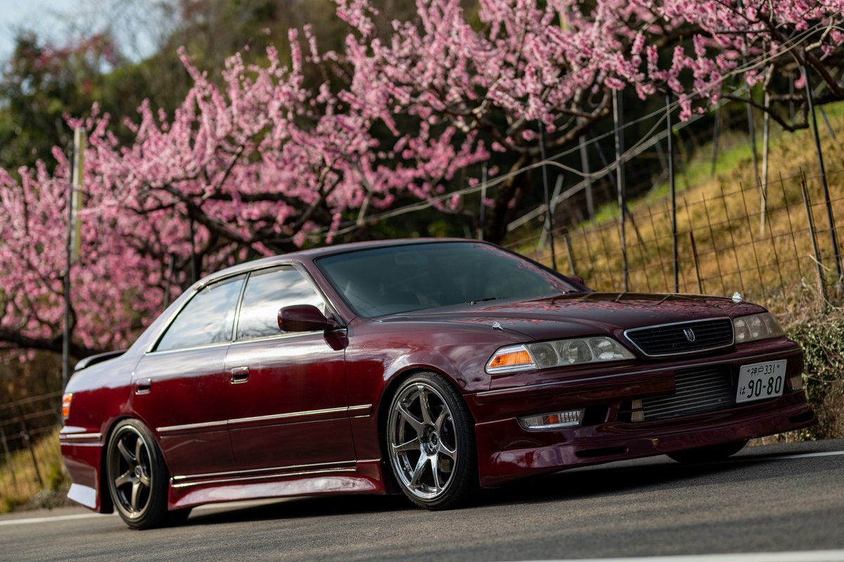 くーぱー🇦🇺 tweet media