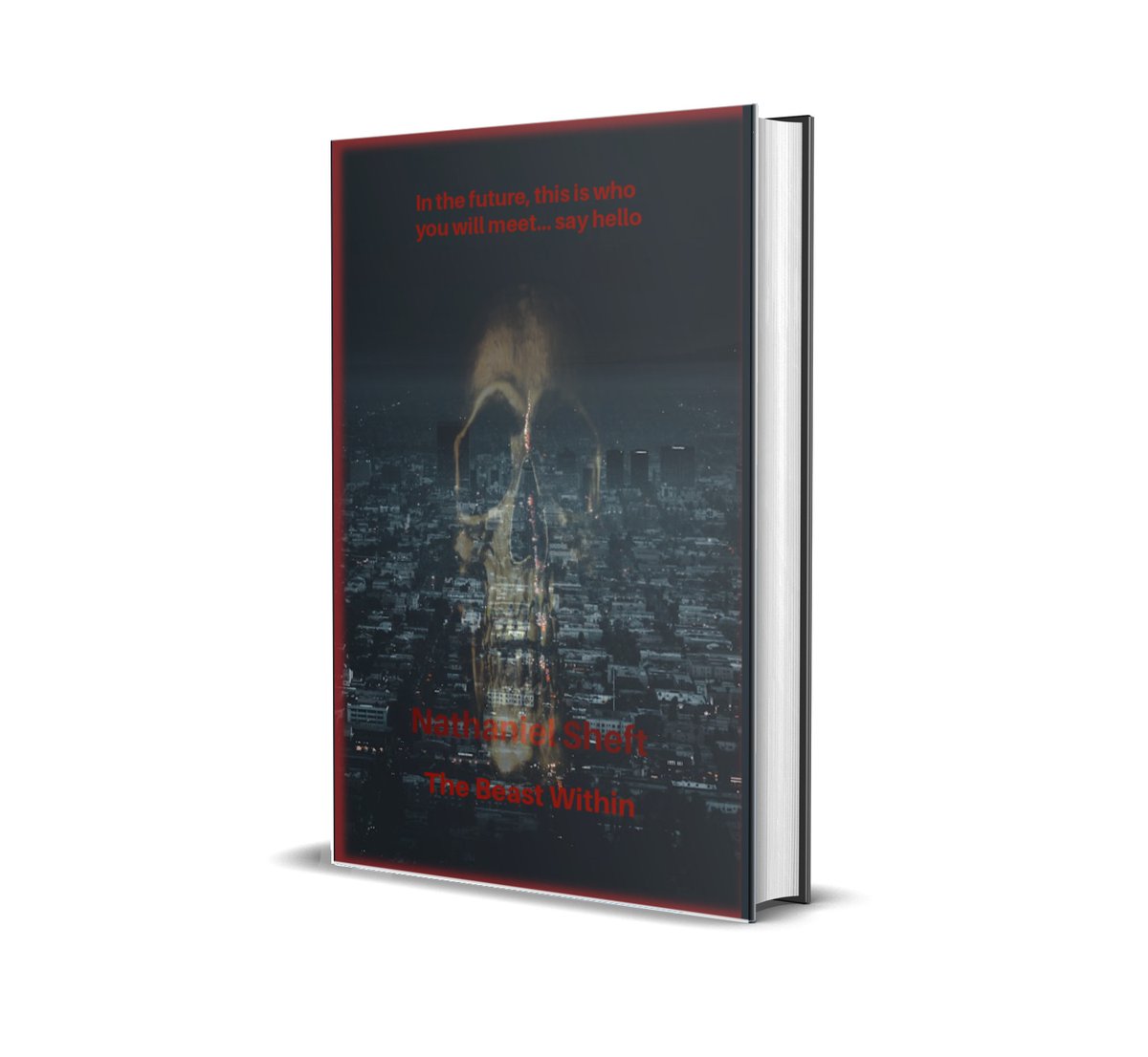 David91189074's tweet photo. The case of that first childhood tragedy is on the news. His middle school soccer team came up missing. It happened on that field, in the forest where the big white house was, the house that everybody says never existed...free ebook Smashwords 3/1 to 3/7 https://t.co/Skn3Xy4gYk