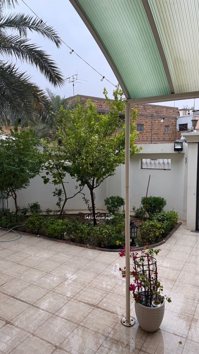 حَوْرُ tweet media