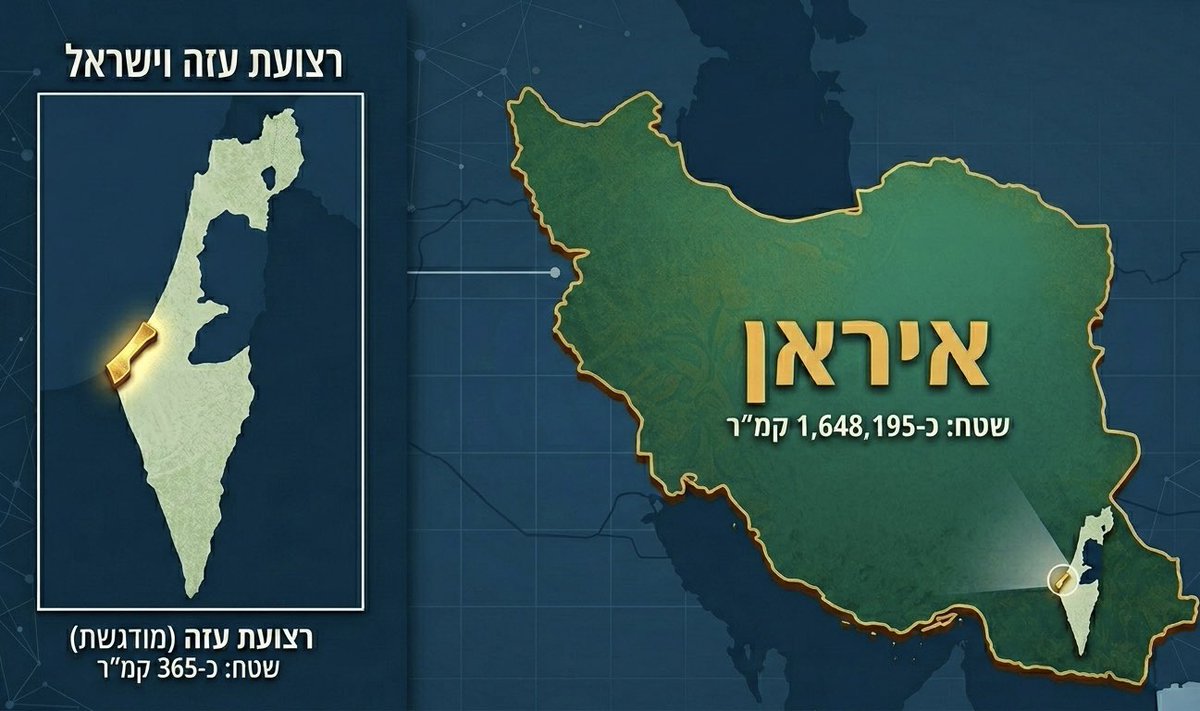 Moshe Radman Abutbul משה רדמן אבוטבול tweet media