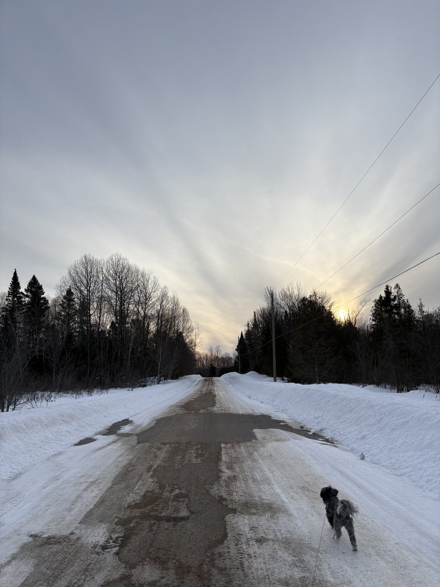 Laura Frost - Suspense Author tweet media