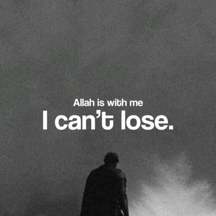 HolyGee 🕊️ tweet media