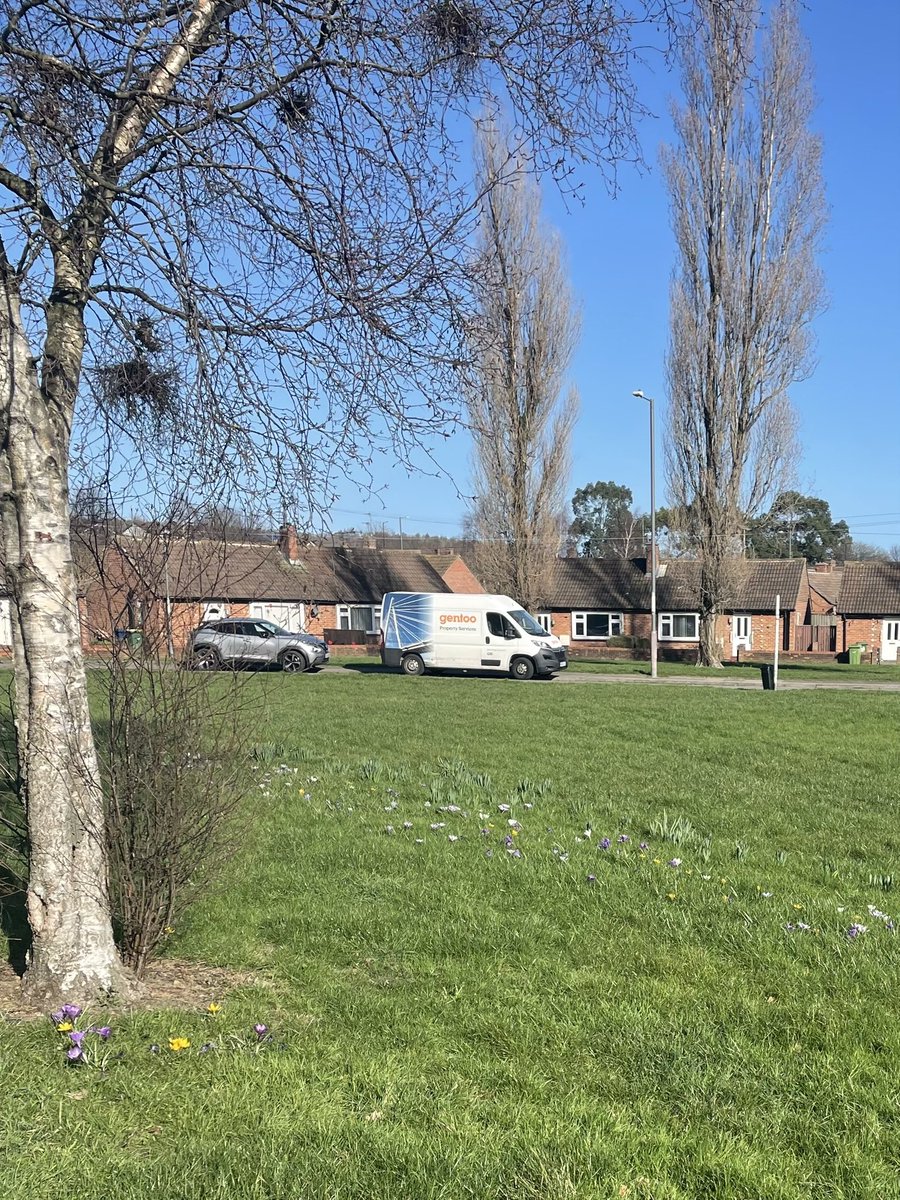 devereux1655's tweet image. Well I managed a very fast 45 minute walk in on my lunch (which I often end up working thru) the sun is shining- what a difference that ball of fire in the sky makes! Full clinic now all afternoon but feel refreshed! #walk #steps #sun #grateful #crocus 🚶🏻‍♀️🚶🏻‍♀️🚶🏻‍♀️🚶🏻‍♀️🚶🏻‍♀️🚶🏻‍♀️