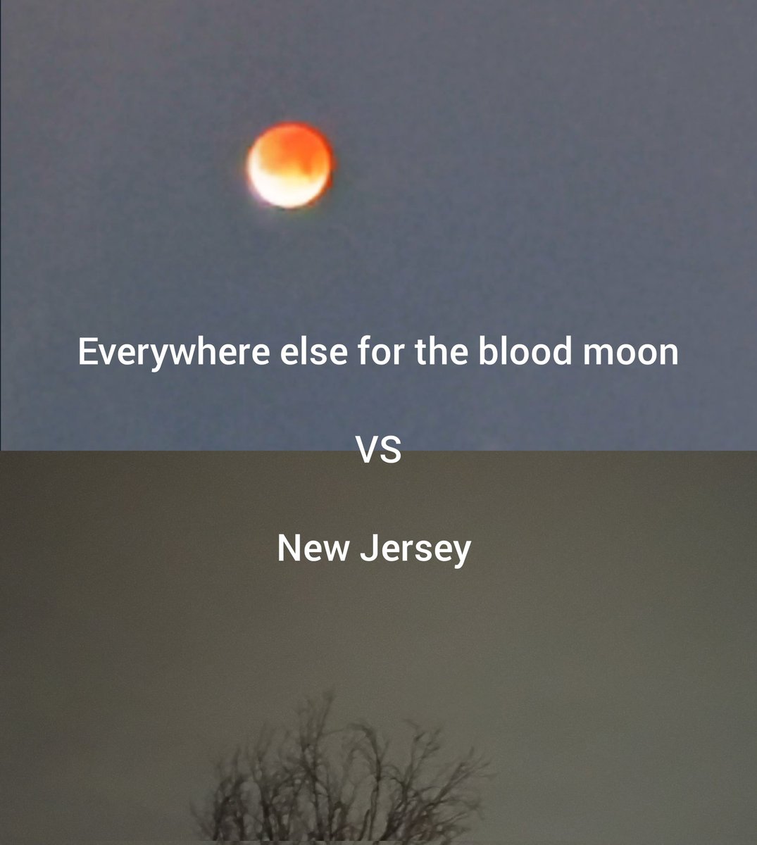 Wake Up NJ 🇺🇸 New Jersey tweet media