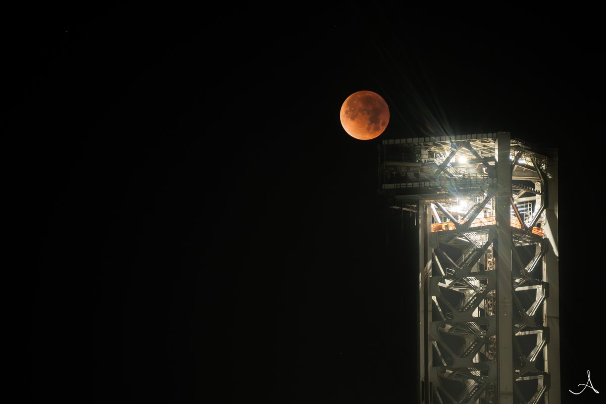 Amy Doehring tweet media