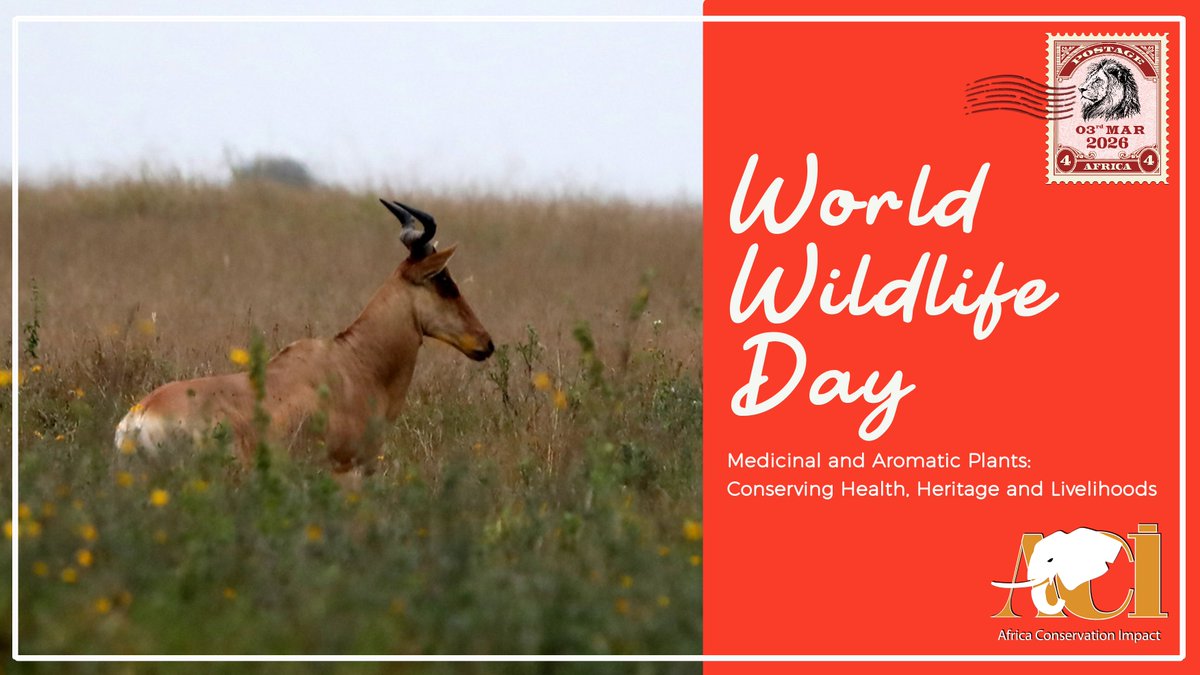 Africa Conservation Impact tweet media