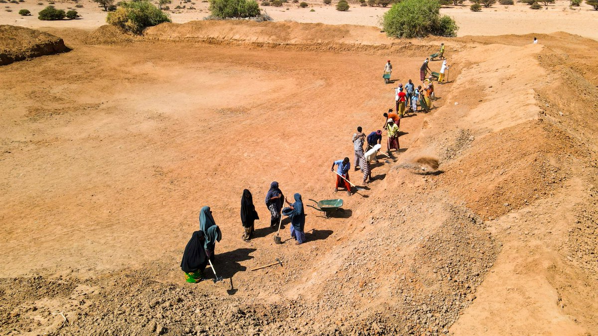 FAO in Somalia tweet media