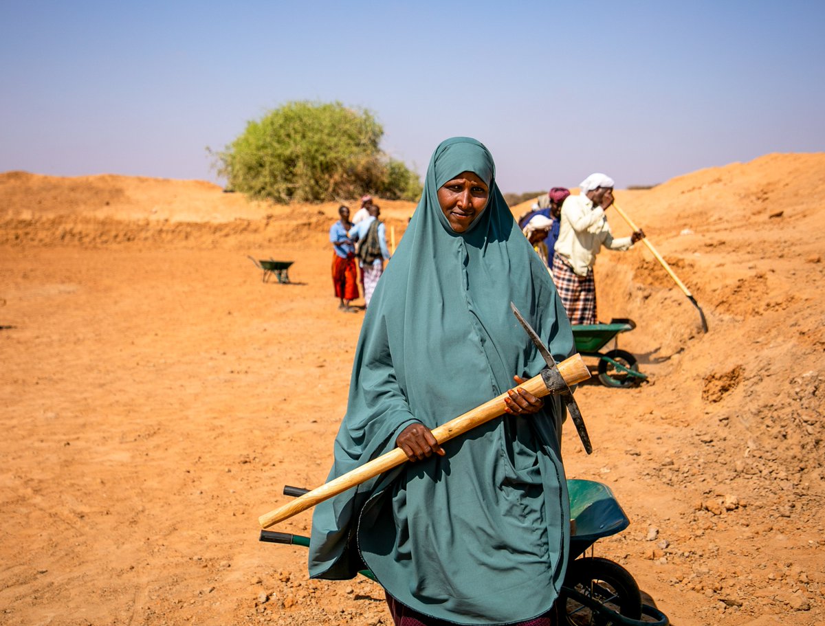 FAO in Somalia tweet media