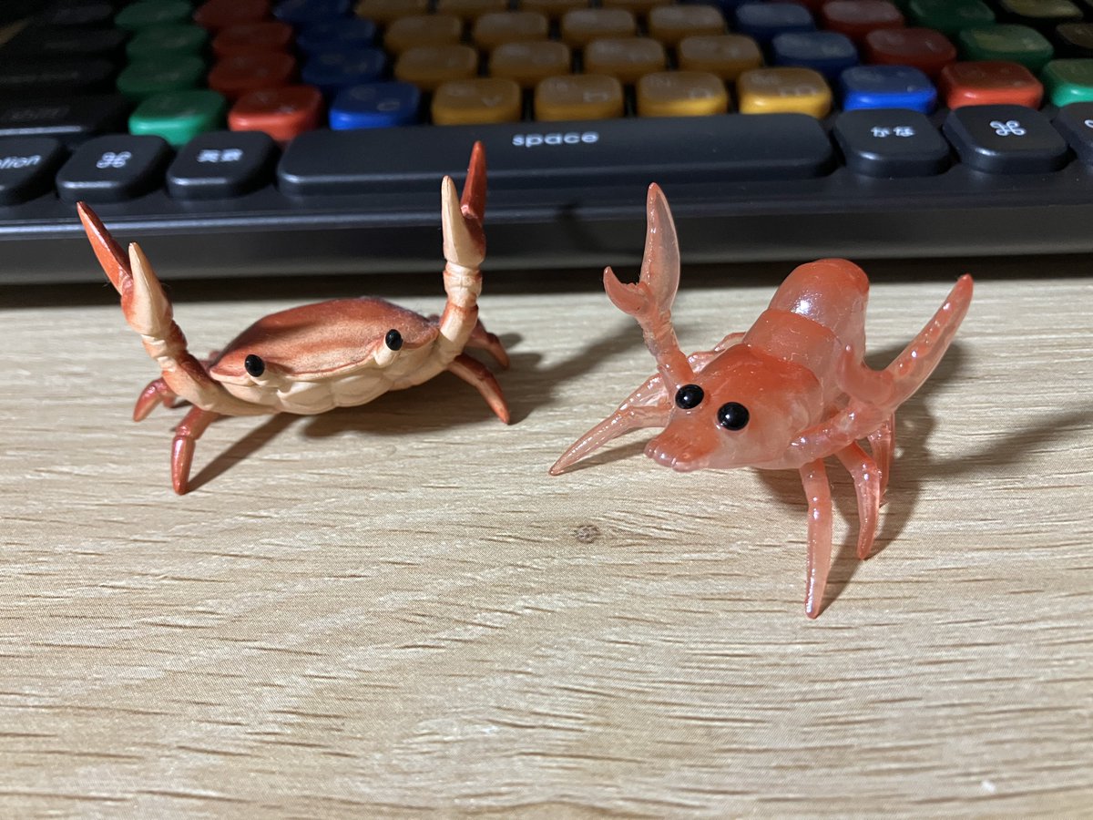 苔虫誰世 tweet media