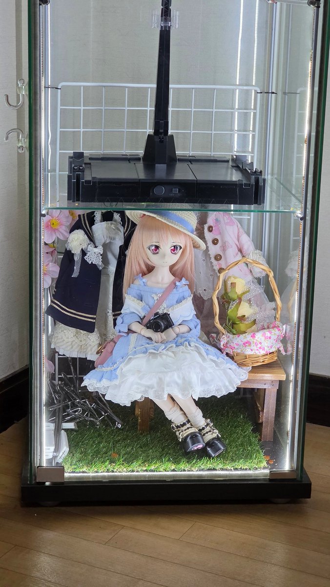 kuma2doll's tweet photo. ガラスケースにLEDつけたらドールの美白効果アップ😊 https://t.co/rs96tlA0IU