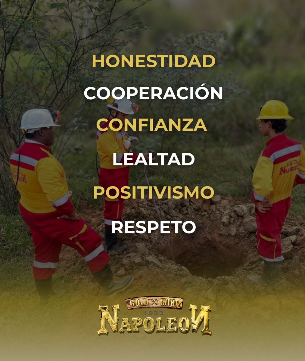 Napoleon Gold Mine tweet media