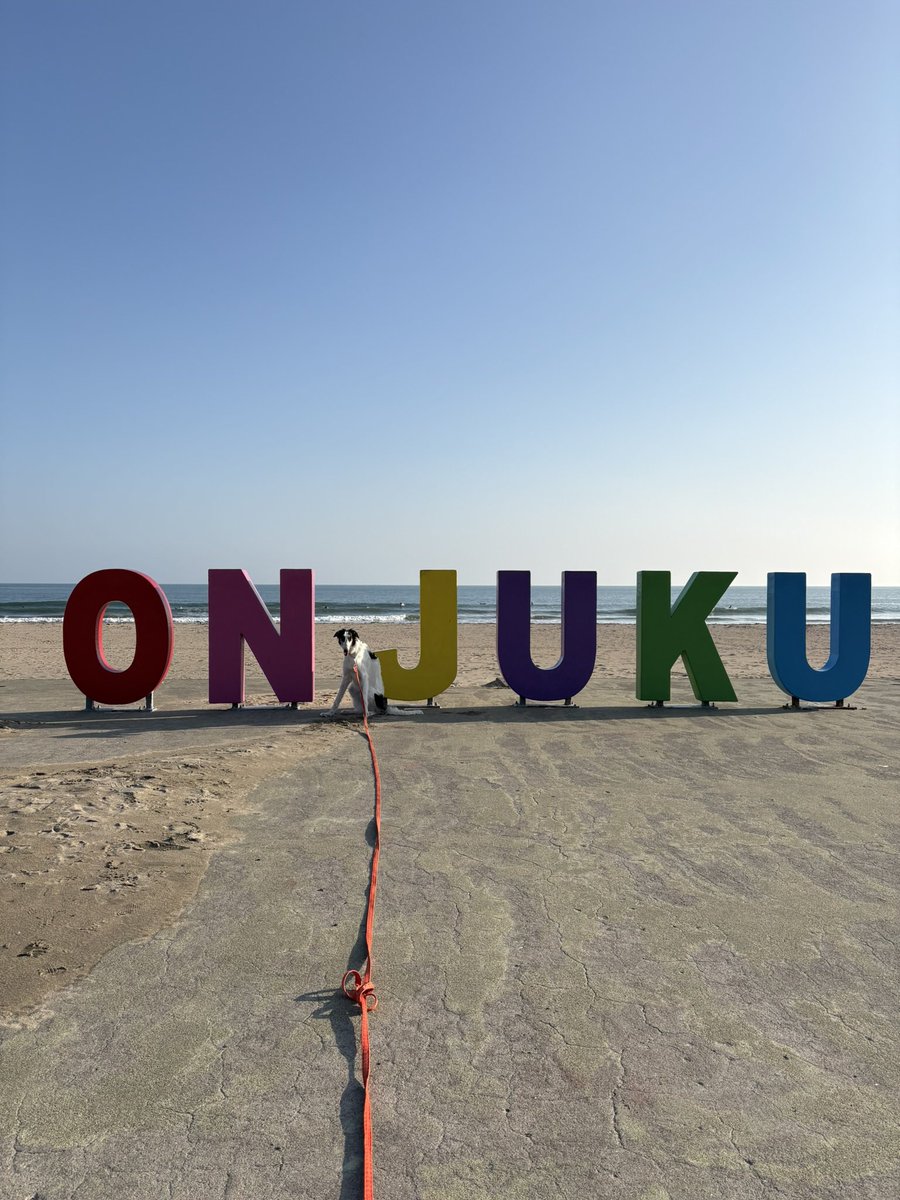 シュカタンポイフル tweet media