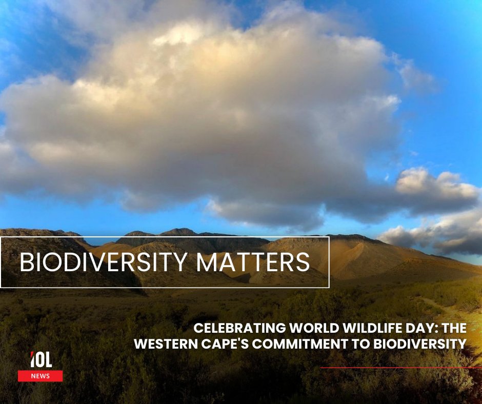 IOL's tweet image. CapeNature manages over 3 million hectares of critical habitats in the Western Cape, strengthening biodiversity, climate resilience, and sustainable livelihoods. 
#WorldWildlifeDay #CapeNature #Biodiversity #ClimateResilience #SustainableDevelopment #WildlifeConservation 
Read