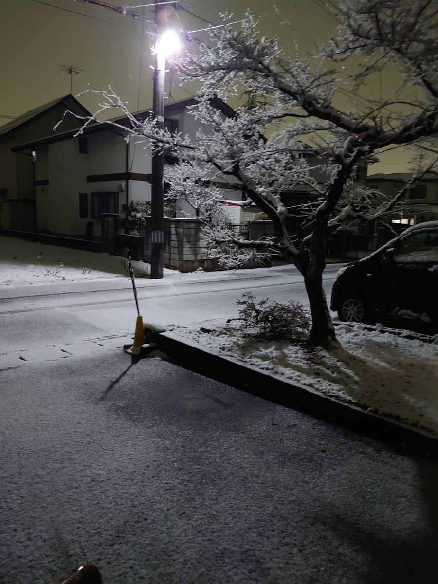 山形市内、少しだけ雪が積もりましたよ。
重い雪だなぁ。
明日まで残ってるかな。

3/3 山形市