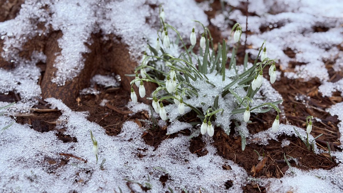 Matthew Henry tweet media