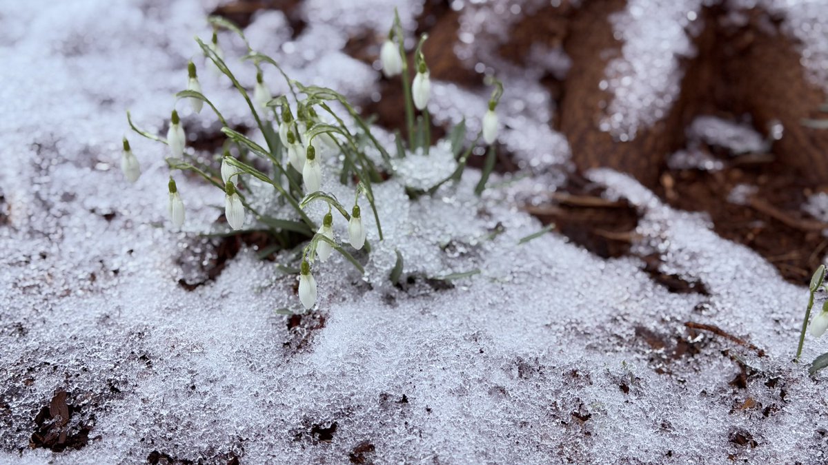 Matthew Henry tweet media