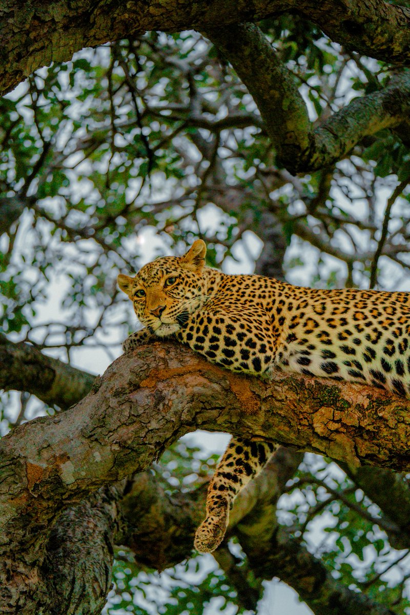 Alex Kittoe tweet media