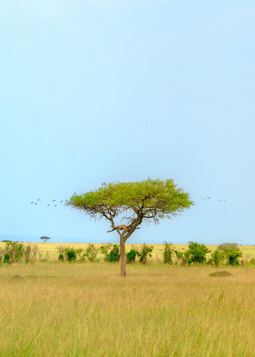 Alex Kittoe tweet media