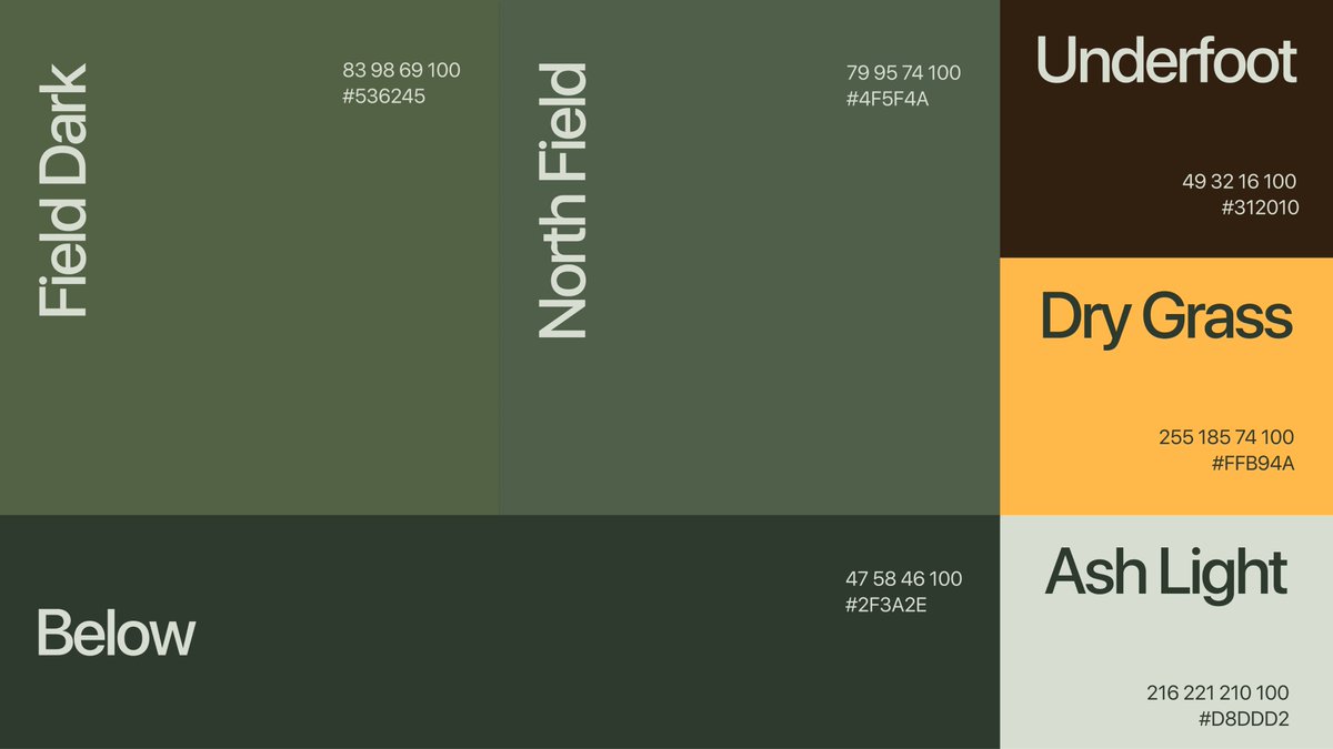 fallengrey's tweet photo. visual direction for NEITHER, an identity infra brand https://t.co/aTBjuDAFPi