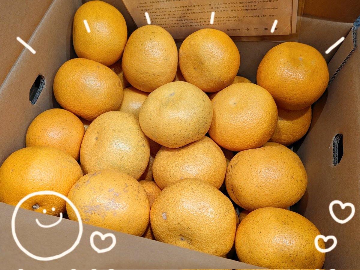 はっさく第3弾(*ˊ˘ˋ*)💕