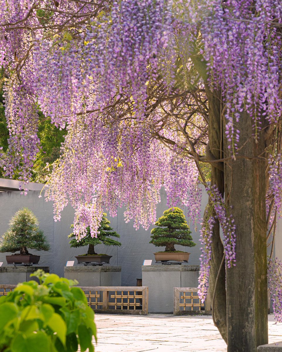 Visit Washington, DC tweet media