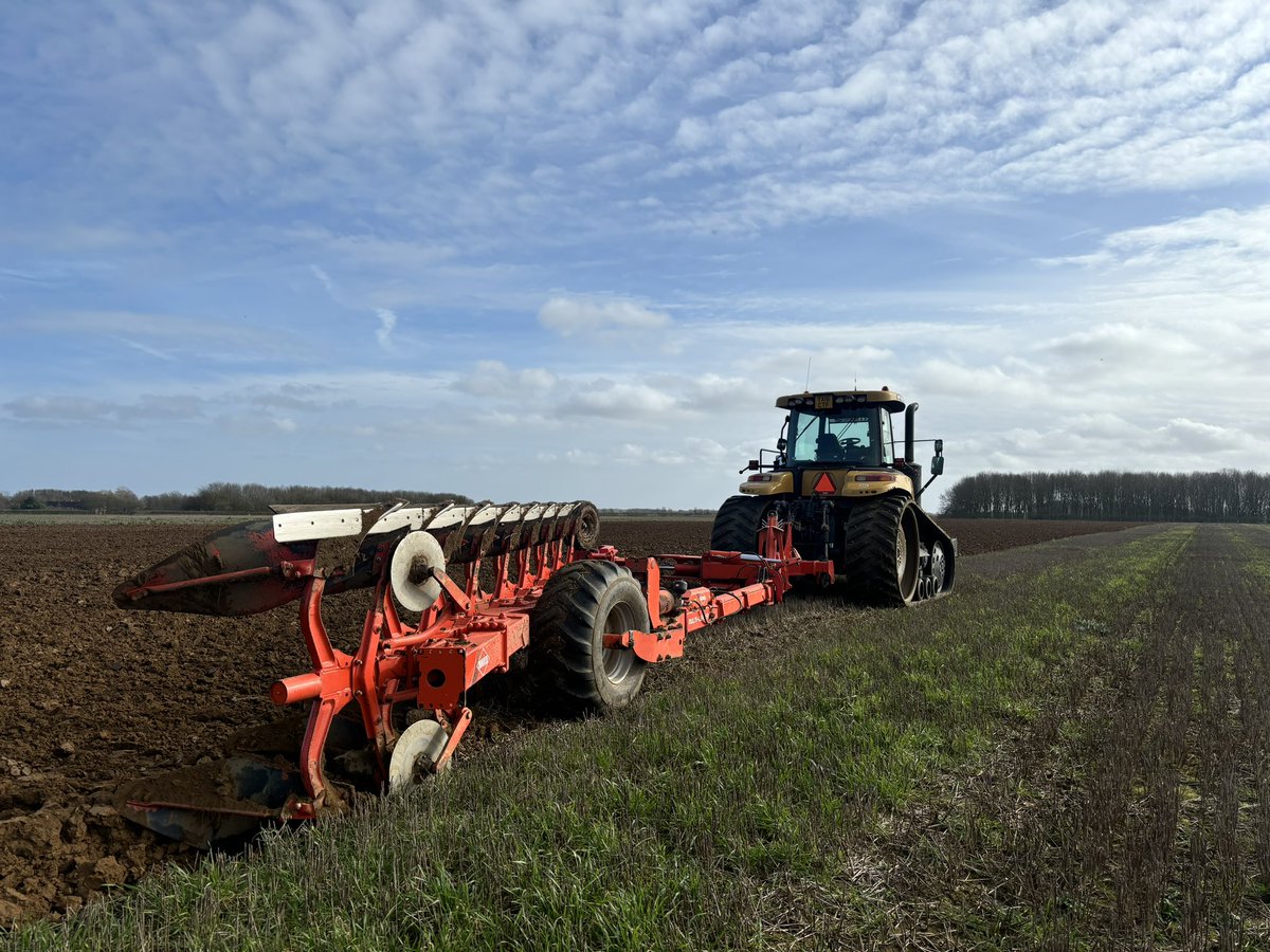 Will Kealey tweet media