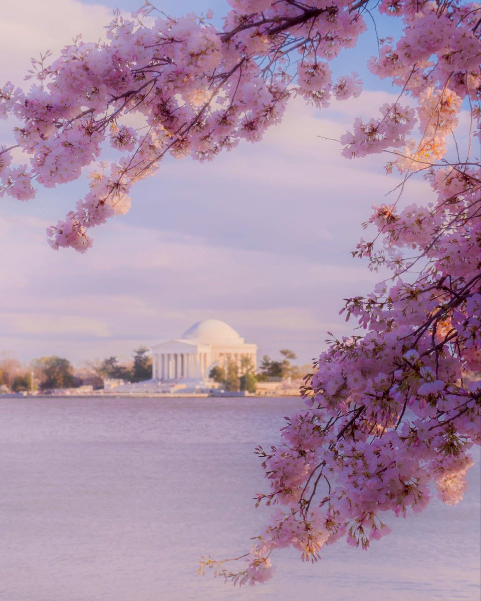 Visit Washington, DC tweet media