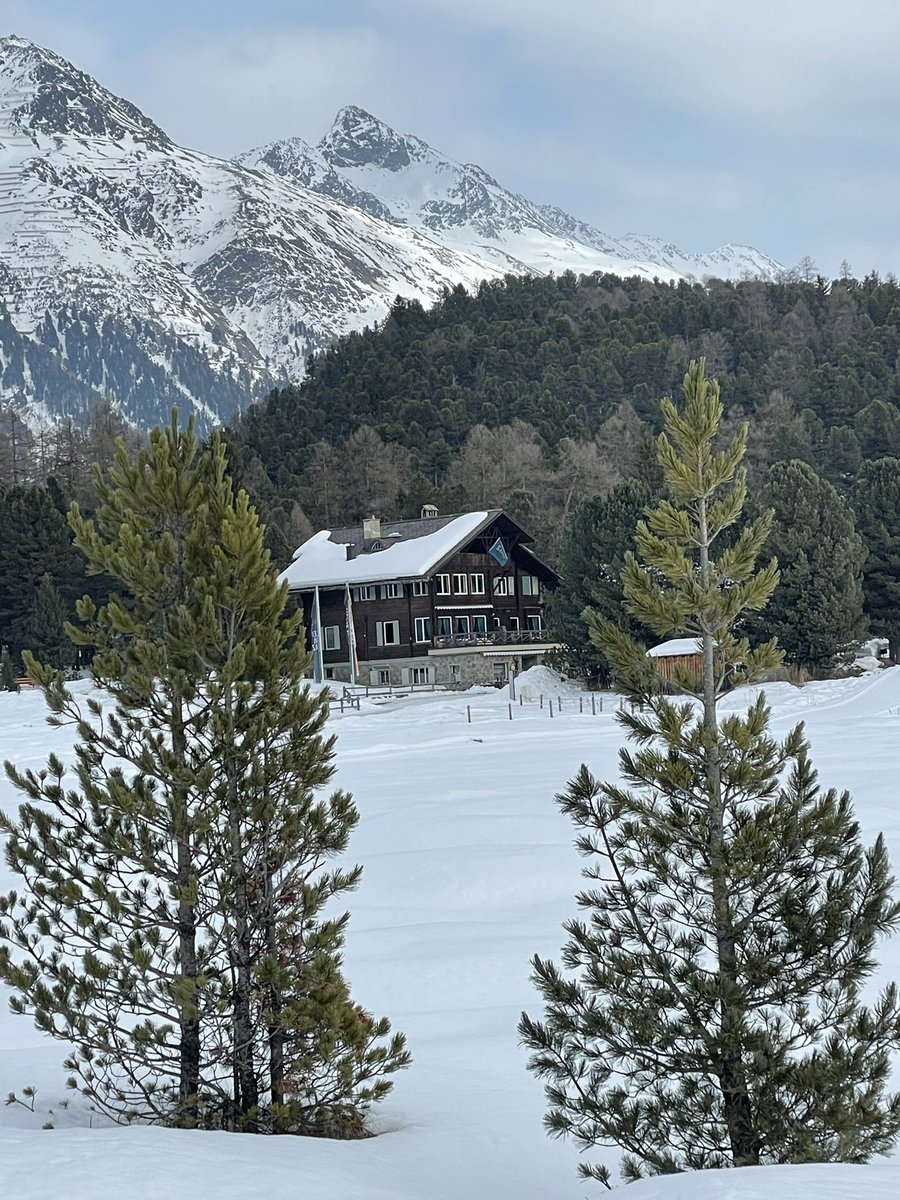 Massimo Mauri tweet media