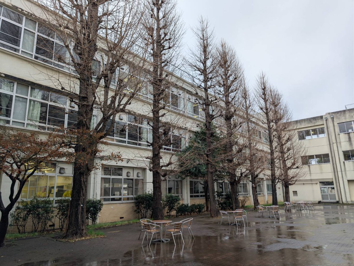MuSaKou1940's tweet photo. 冷たい雨になりました。雨の日の中庭は墨絵みたいで、なんだか落ち着きます。

#都立武蔵丘 #武蔵丘同窓会 #上鷺宮 #鷺ノ宮 #富士見台 #中村橋 https://t.co/9RN7hKECZB