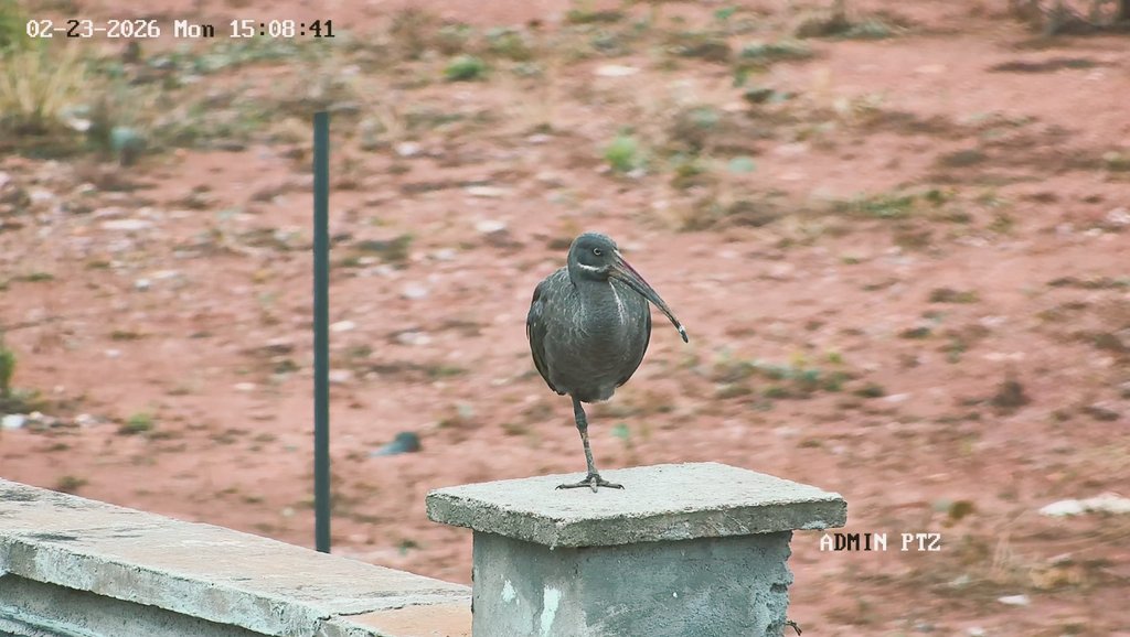 Tommy Isaac tweet media