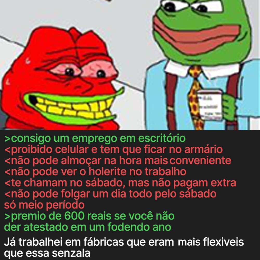 AnõesBiodegradáveis tweet media