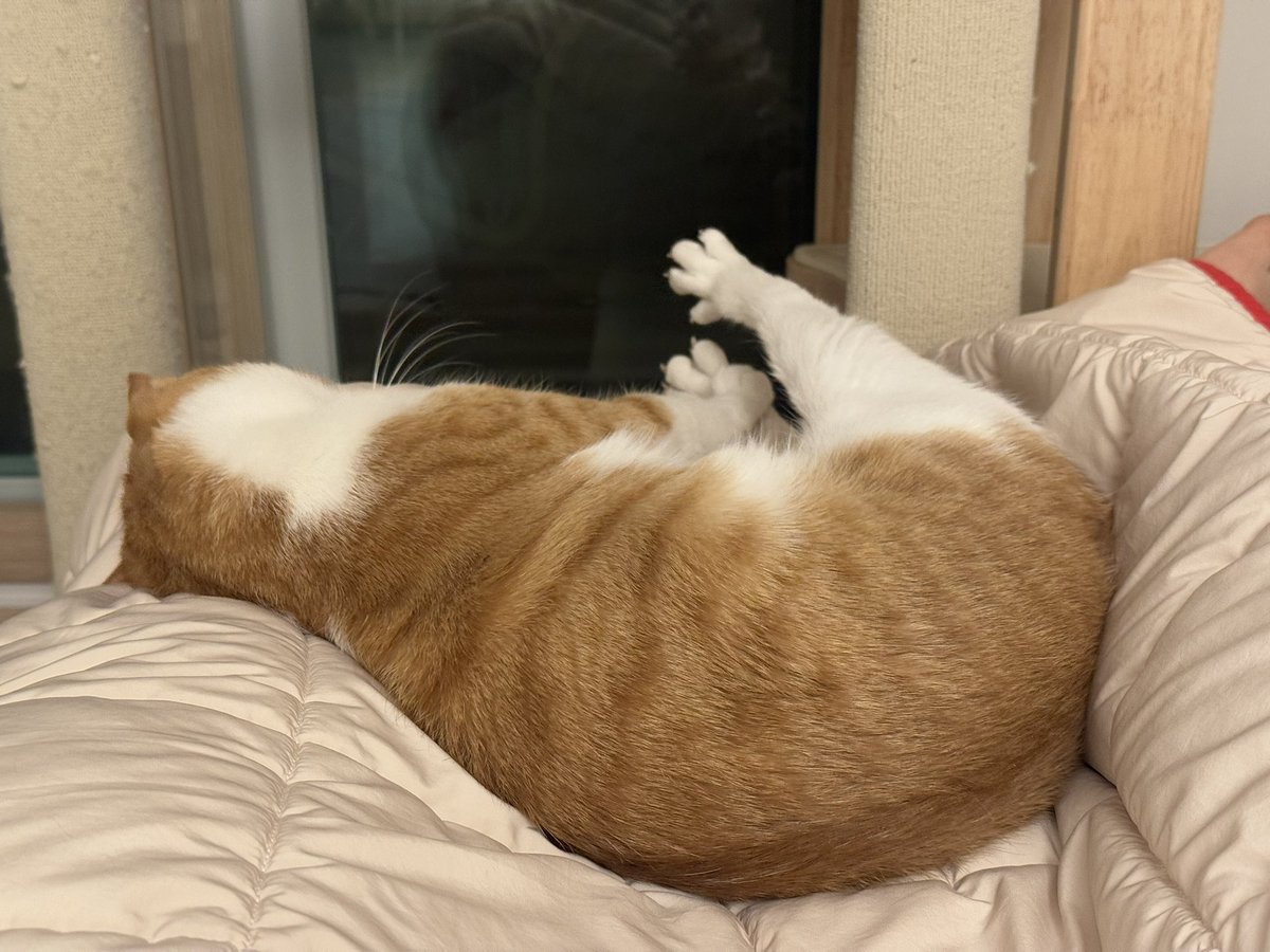 누워서 기지개를 켜는데 발꾸락이 웃긴