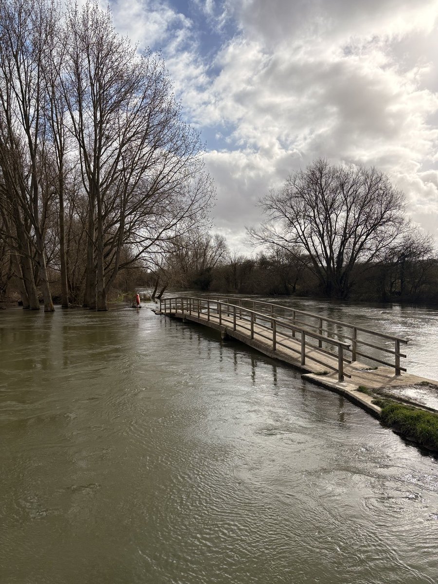 Brecht Van Craen | CEO weRate tweet media