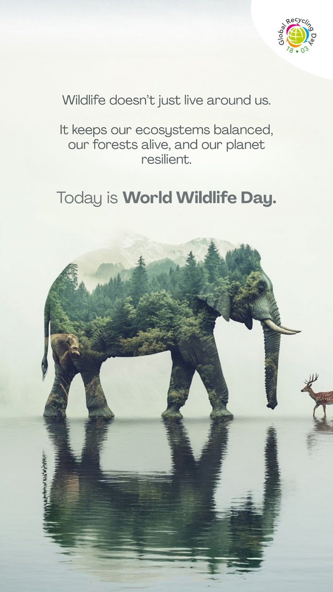 RanjitBaxi's tweet photo. On this #WorldWildlifeDay, let's protect our #Ecosystems. Our #Ecohabitats isn't only about #Wildlife & #Forests but is also about #FreshWater #FreshAir & stable #Climate. Lets #RecycleMore to build cleaner #Habitats for our #Wildlife. Join us on #18thMarch - #GlobalRecyclingDay https://t.co/lQW84G4gFe