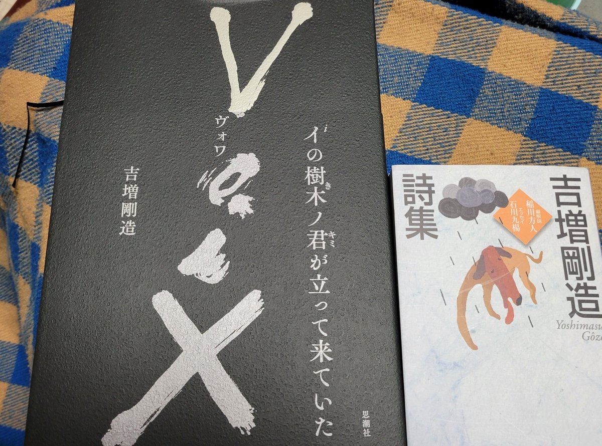 光枝ういろ(voyage) tweet media