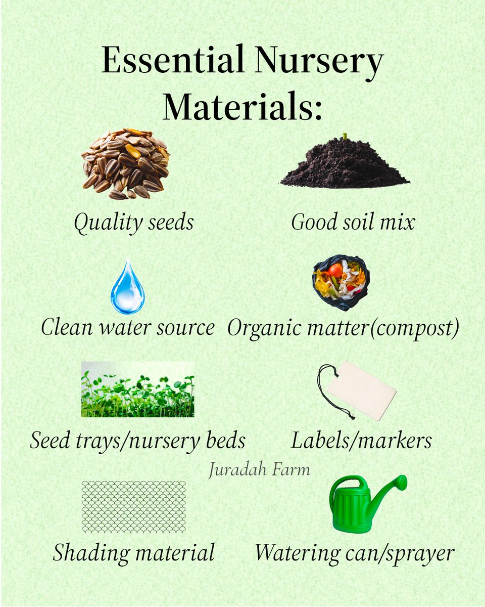 ThompsonJumoke's tweet photo. 🌱𝐒𝐓𝐎𝐏 𝐛𝐥𝐚𝐦𝐢𝐧𝐠 𝐲𝐨𝐮𝐫 𝐡𝐚𝐫𝐯𝐞𝐬𝐭… 𝐜𝐡𝐞𝐜𝐤 𝐲𝐨𝐮𝐫 𝐧𝐮𝐫𝐬𝐞𝐫𝐲 𝐟𝐢𝐫𝐬𝐭.🌱

👩🏾‍🌾𝑴𝒐𝒔𝒕 𝒇𝒂𝒓𝒎𝒆𝒓𝒔 𝒇𝒐𝒄𝒖𝒔 𝒐𝒏 𝒕𝒉𝒆 𝒇𝒊𝒆𝒍𝒅. 
𝑺𝒎𝒂𝒓𝒕 𝒇𝒂𝒓𝒎𝒆𝒓𝒔 𝒇𝒐𝒄𝒖𝒔 𝒐𝒏 𝒕𝒉𝒆 𝒔𝒆𝒆𝒅𝒍𝒊𝒏𝒈𝒔.👨🏽‍🌾  

#nigeria 
#Trending https://t.co/dBJYoyzL1Y