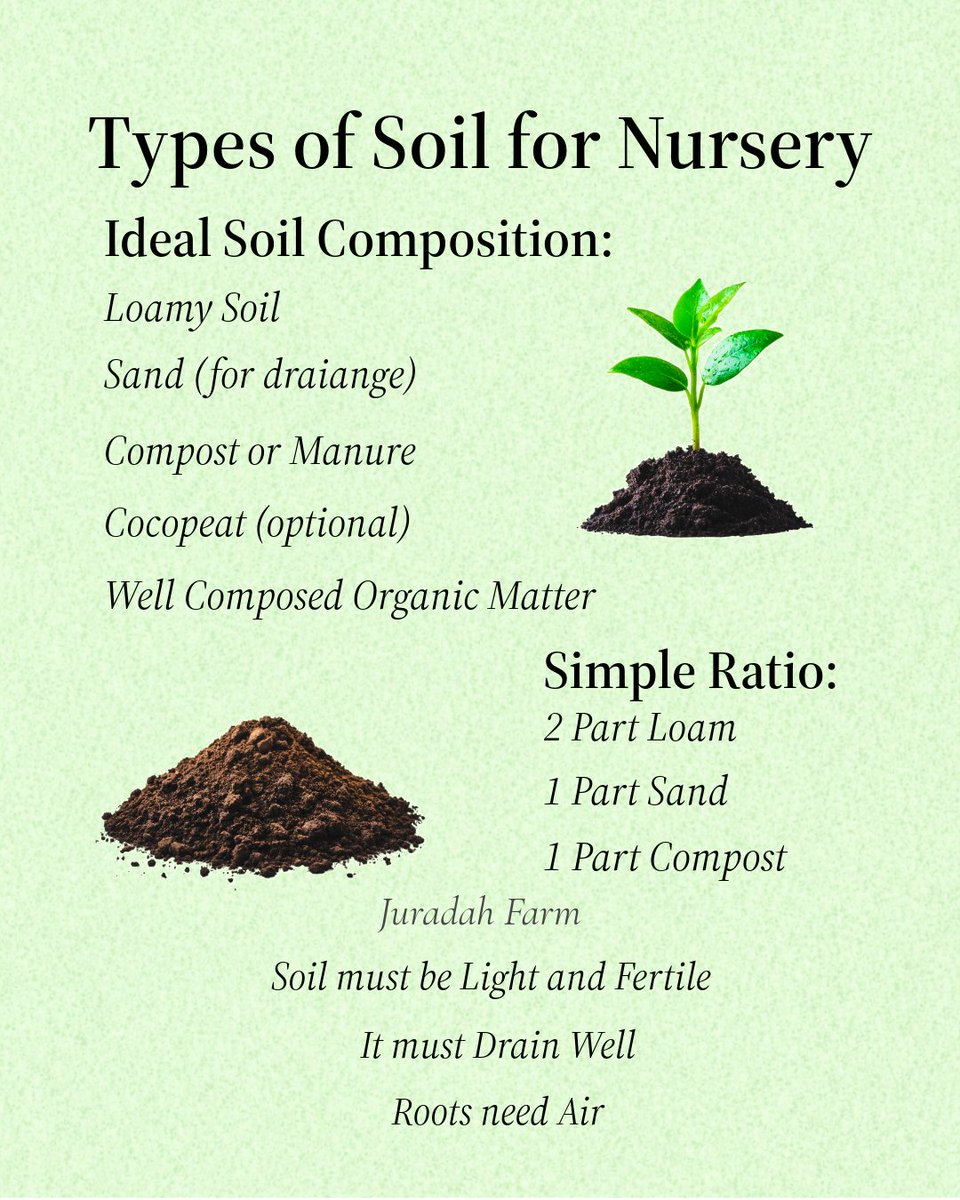 ThompsonJumoke's tweet photo. 🌱𝐒𝐓𝐎𝐏 𝐛𝐥𝐚𝐦𝐢𝐧𝐠 𝐲𝐨𝐮𝐫 𝐡𝐚𝐫𝐯𝐞𝐬𝐭… 𝐜𝐡𝐞𝐜𝐤 𝐲𝐨𝐮𝐫 𝐧𝐮𝐫𝐬𝐞𝐫𝐲 𝐟𝐢𝐫𝐬𝐭.🌱

👩🏾‍🌾𝑴𝒐𝒔𝒕 𝒇𝒂𝒓𝒎𝒆𝒓𝒔 𝒇𝒐𝒄𝒖𝒔 𝒐𝒏 𝒕𝒉𝒆 𝒇𝒊𝒆𝒍𝒅. 
𝑺𝒎𝒂𝒓𝒕 𝒇𝒂𝒓𝒎𝒆𝒓𝒔 𝒇𝒐𝒄𝒖𝒔 𝒐𝒏 𝒕𝒉𝒆 𝒔𝒆𝒆𝒅𝒍𝒊𝒏𝒈𝒔.👨🏽‍🌾  

#nigeria 
#Trending https://t.co/dBJYoyzL1Y