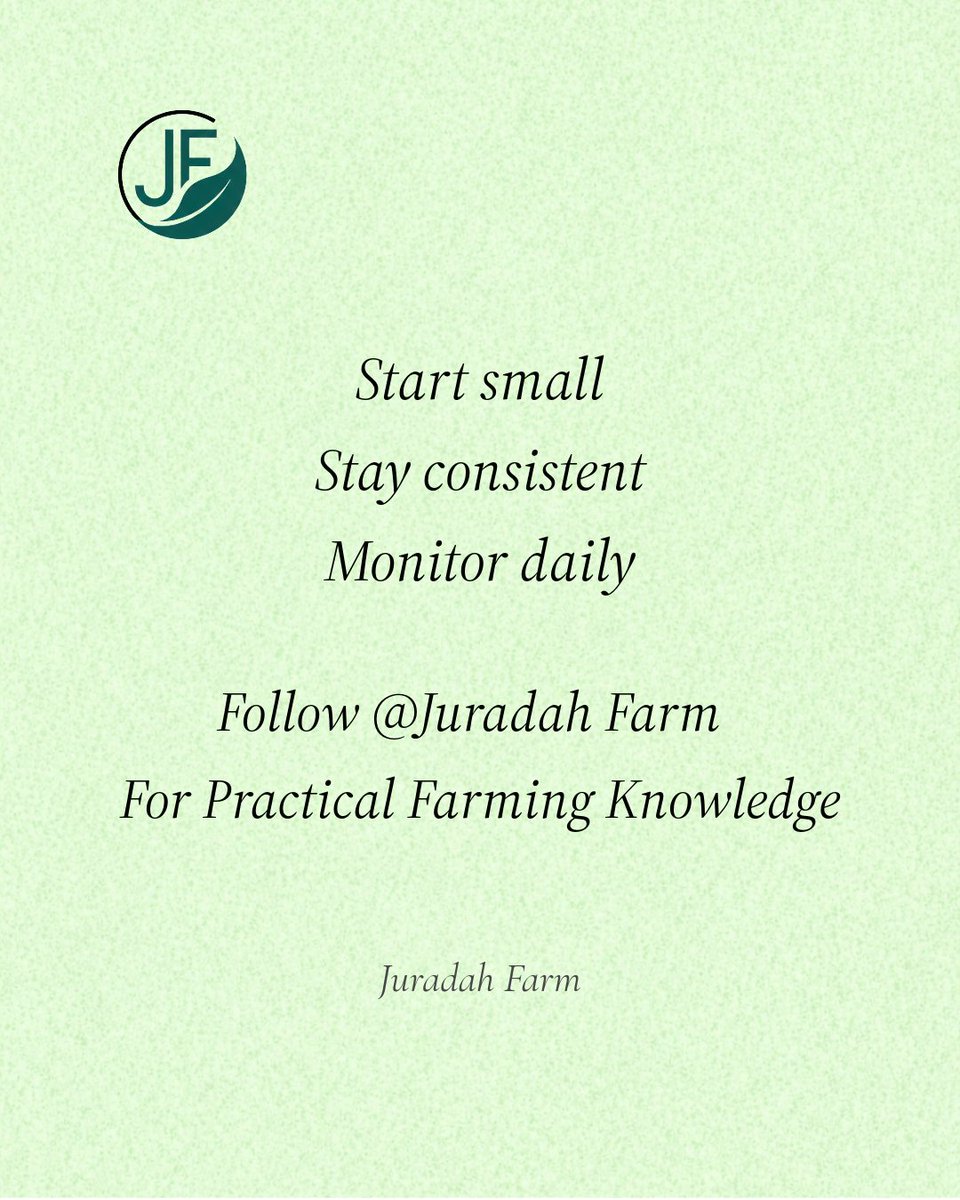 ThompsonJumoke's tweet photo. 𝑺𝒂𝒗𝒆 𝒕𝒉𝒊𝒔 𝒑𝒐𝒔𝒕 📌 
𝑺𝒉𝒂𝒓𝒆 𝒘𝒊𝒕𝒉 𝒂 𝒇𝒂𝒓𝒎𝒆𝒓 👨🏾‍🌾 👩🏾‍🌾

#juradahfarm
#nigerianfarmer
#plantnursery 
#farming
#gardening 
#Agriculture 
#garden https://t.co/mUqFCyGdqr