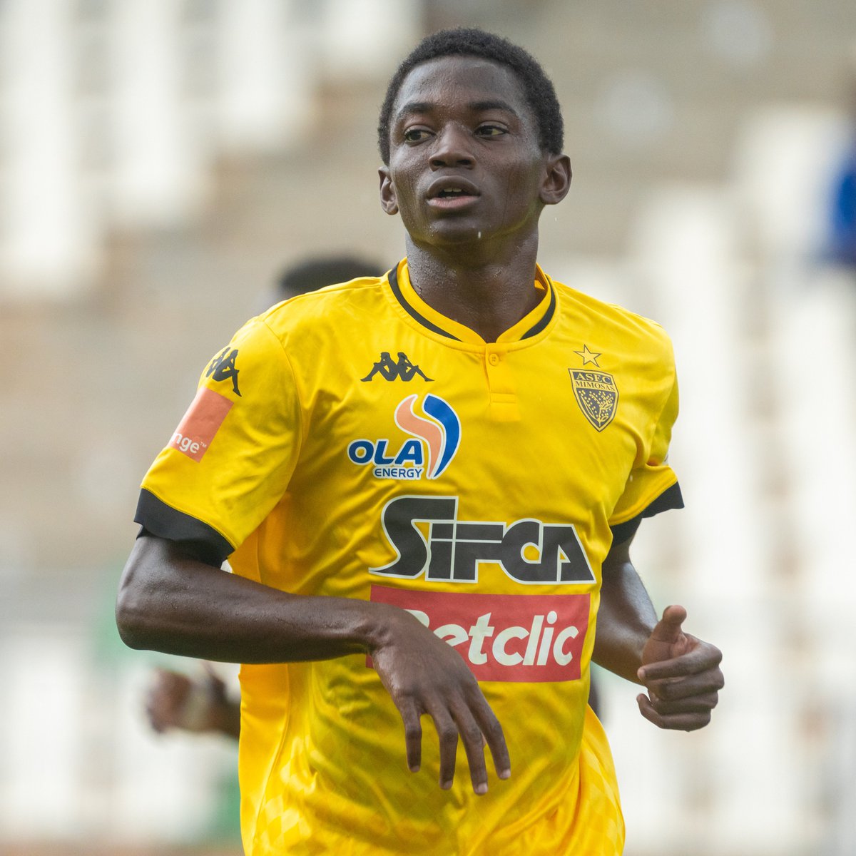 Alfred Frank tweet media