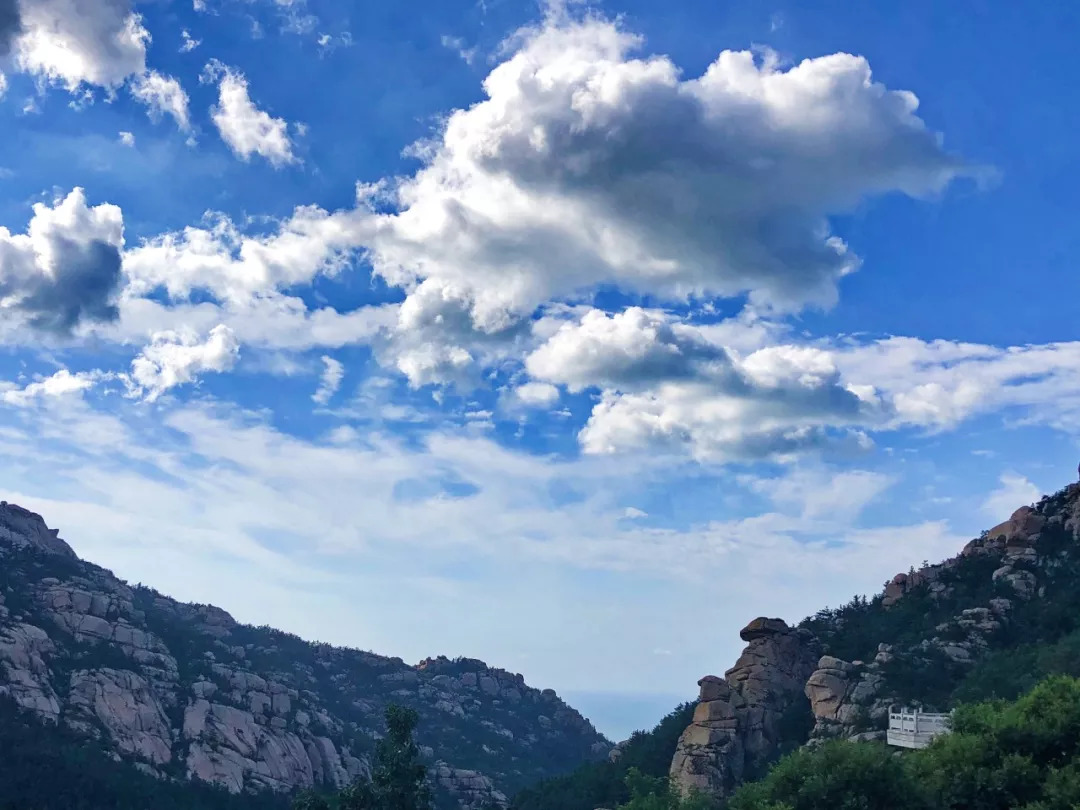 Stef Dimitrova tweet media