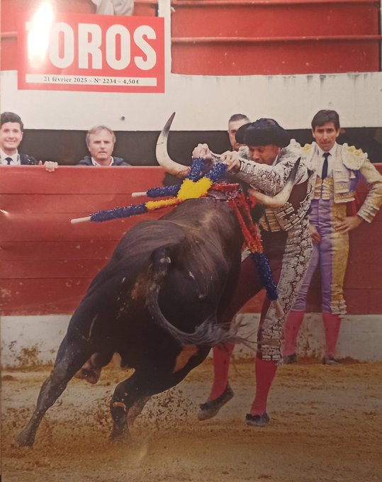 Fundación Toro Lidia tweet media