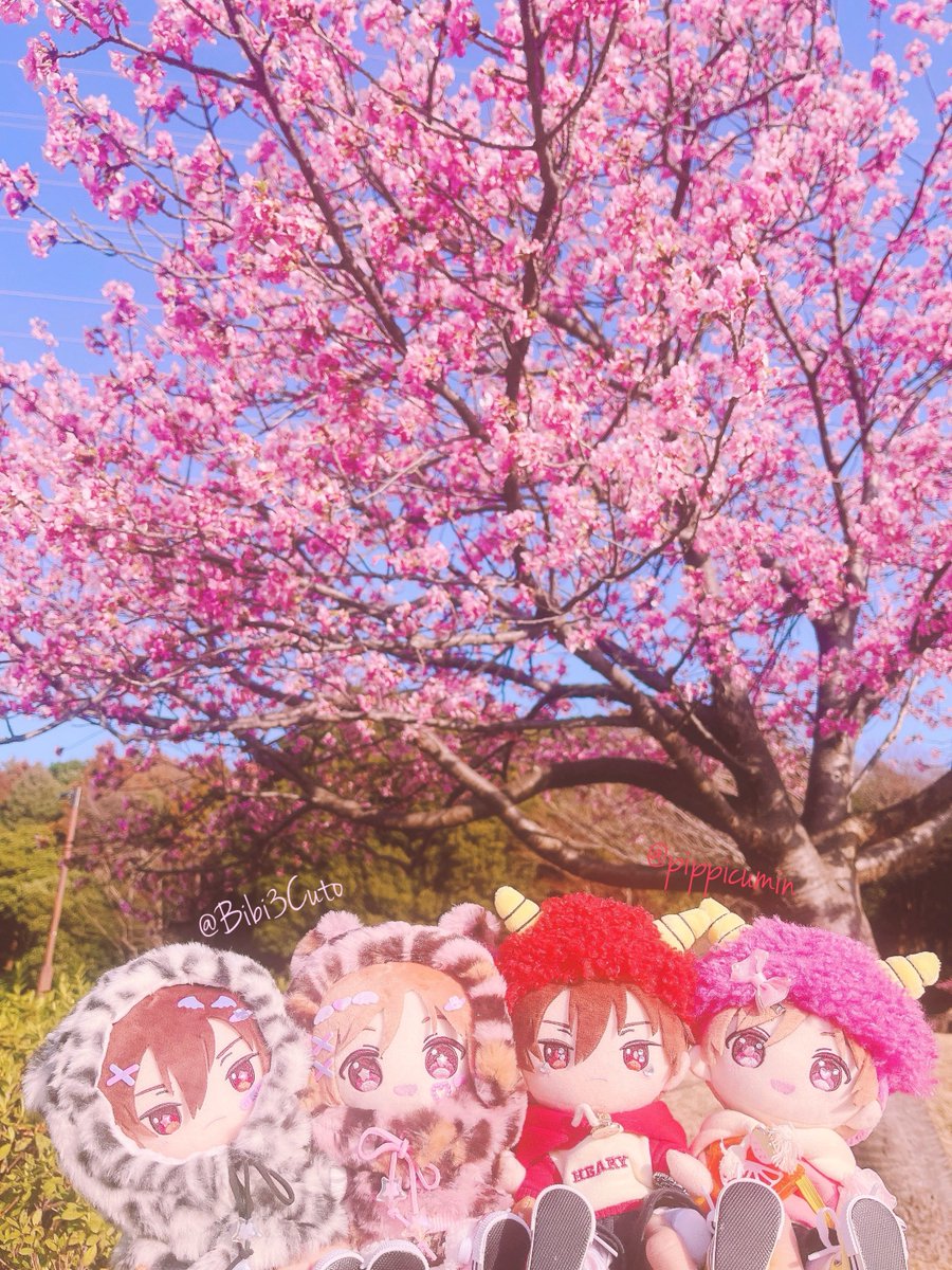 あぴぽぽ tweet media