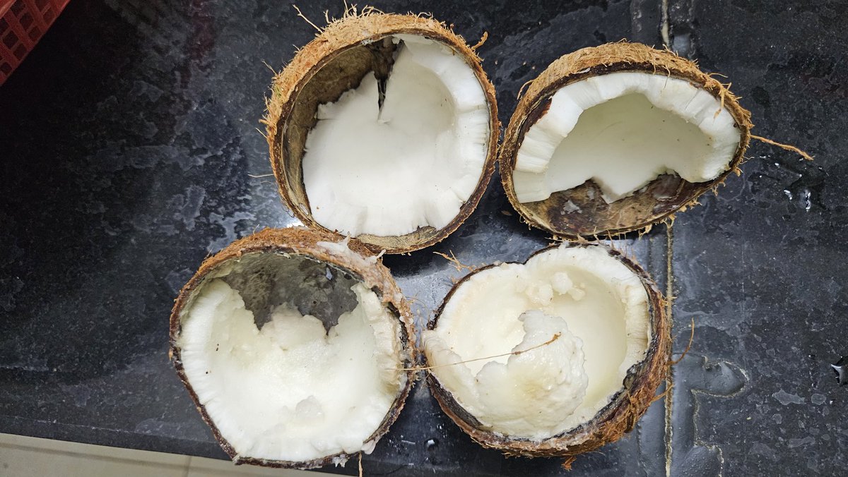 SahooManatosh's tweet photo. @Ratnadeepretail coconut purchased yesterday is rotten, can I exchange. Please confirm https://t.co/VX9ZKQ601b