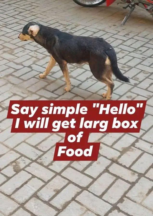 Alice 👑 tweet media