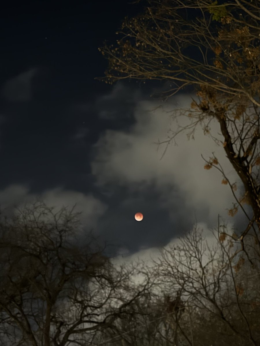 365 Things Austin tweet media