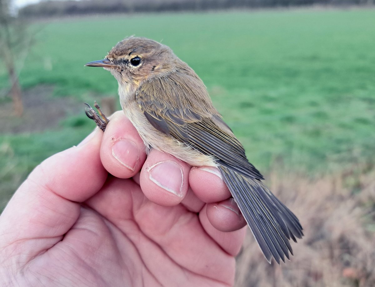 Graham Deacon tweet media