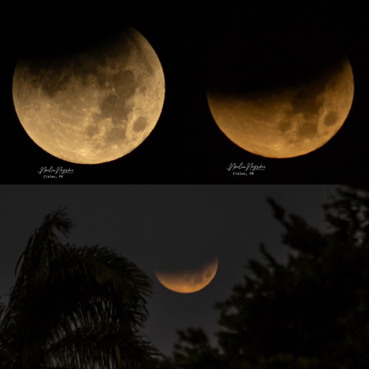 nelsonastrofoto's tweet photo. Secuencia del eclipse lunar parcial captada por Noelia Negrón https://t.co/EAiJIMIJSA