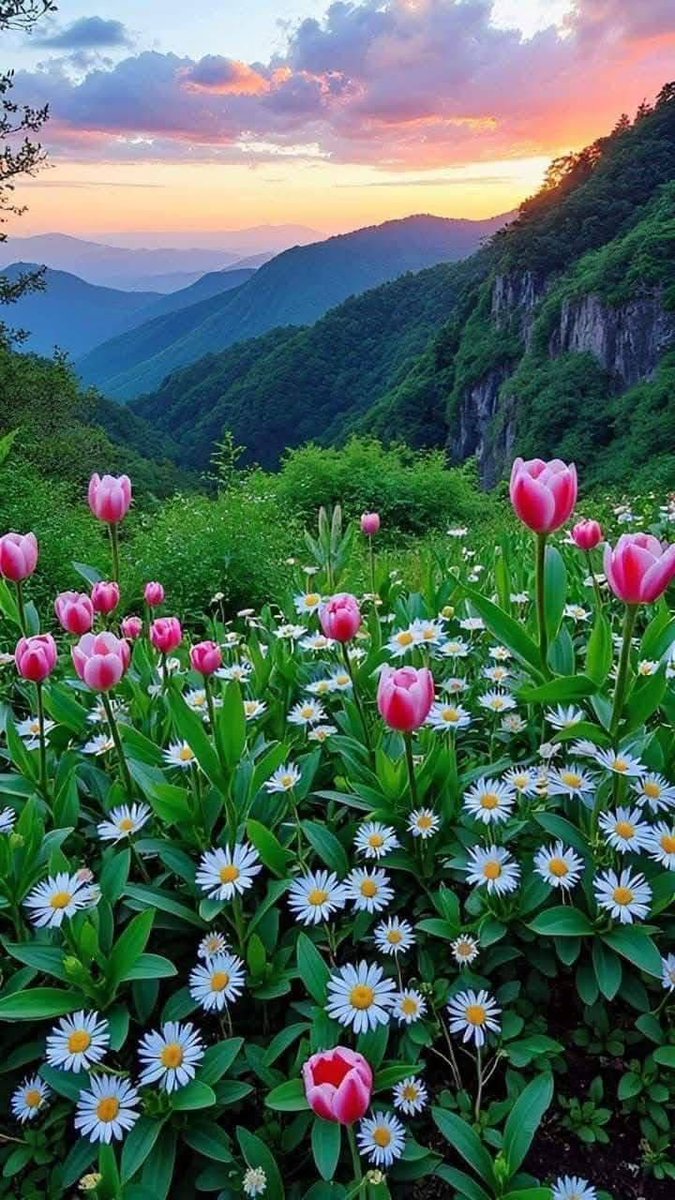 KantRavi69859's tweet image. "प्रकृति की चित्रकारी से बेहतर कोई आर्ट गैलरी नहीं। इस सुनहरी शाम का आनंद लें। 🌾🌇
​Happy Evening everyone! 🥂
​#Nature #KeepItSimple #EveningVibes #NaturePhotography"