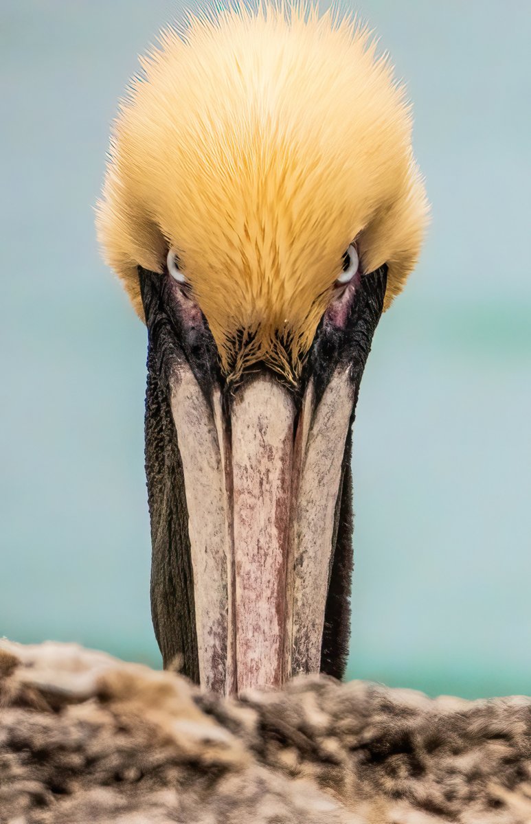 TRINITYPREZ tweet media